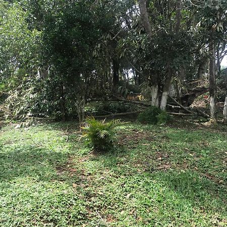 Villa Recanto Figueiredo Ibiúna Exterior foto