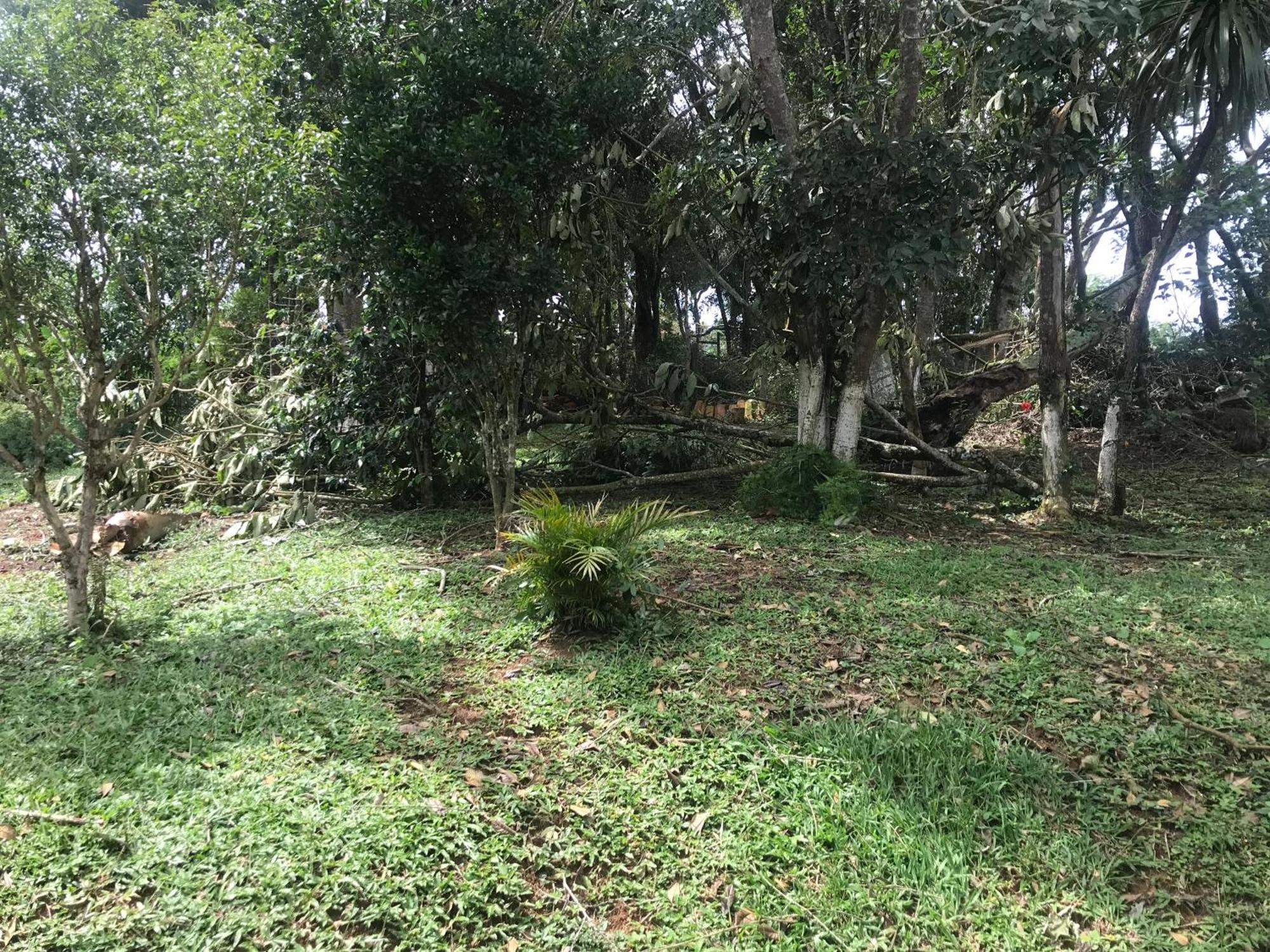 Villa Recanto Figueiredo Ibiúna Exterior foto